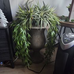 Artificial Plant