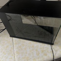Fish Tank