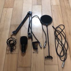 Microphone Setup