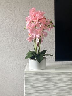 artificial orchids 