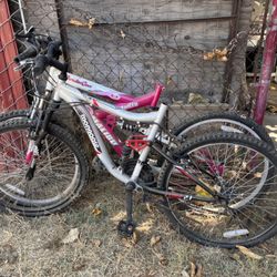 Mountain Bikes 
