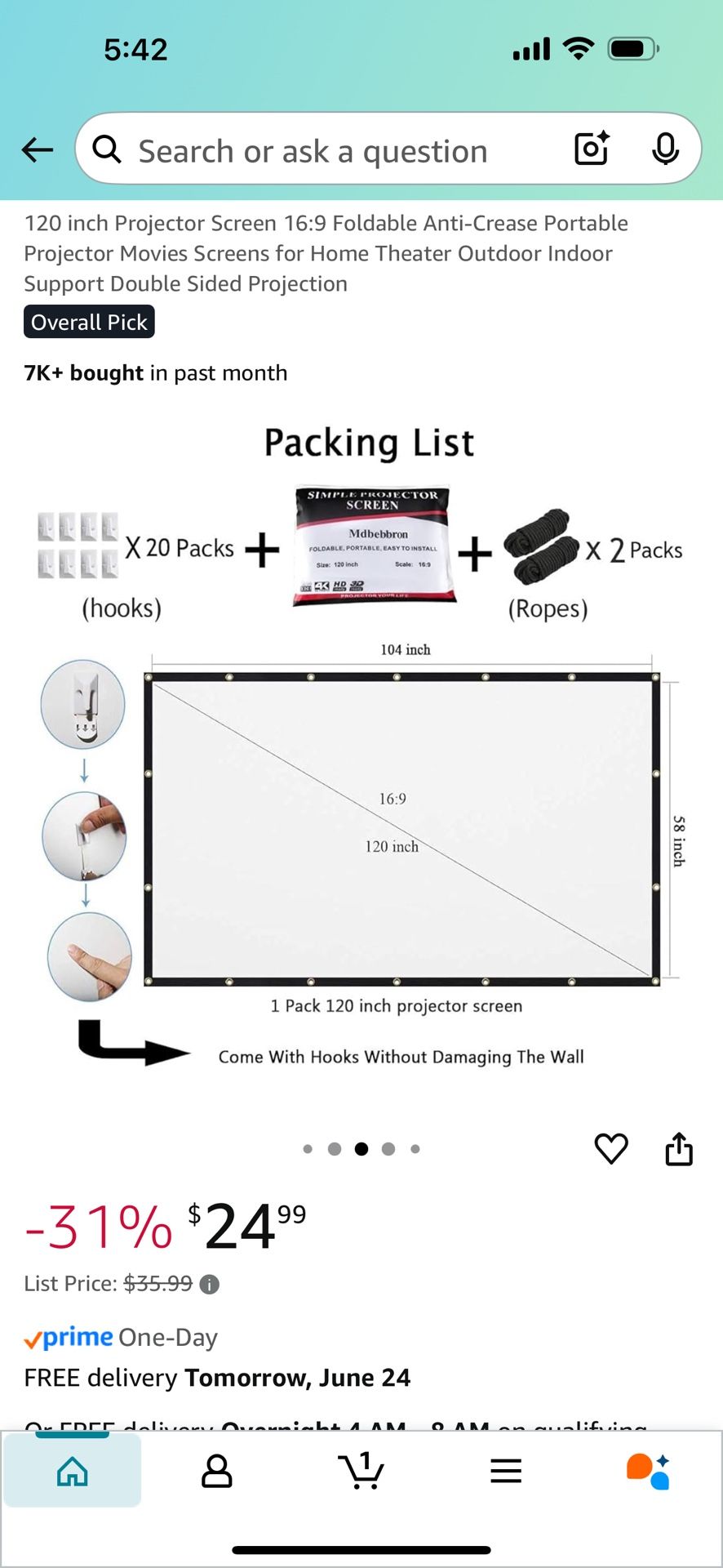 Projector Screen