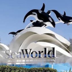 Sea World Tickets