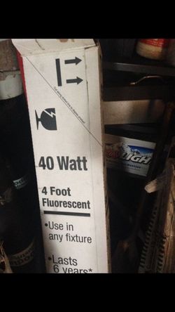 32 (40 watt light bulbs) New