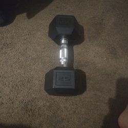 25 Pound Dumbbell/ 20 Pound