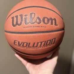 Wilson Evolution