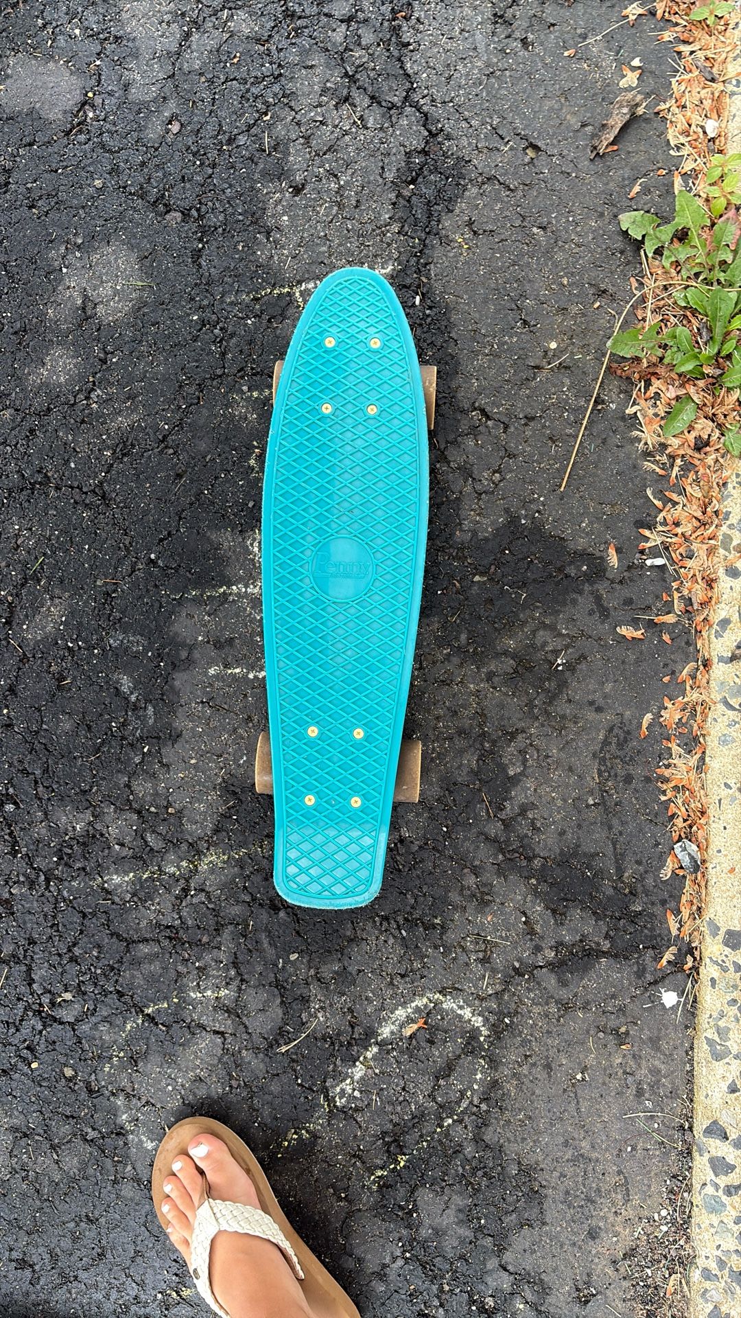 Ocean Blue Penny Board
