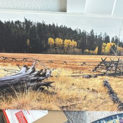 Fall Theme Wall Decor 