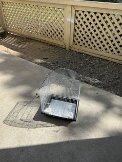 Bird Cage
