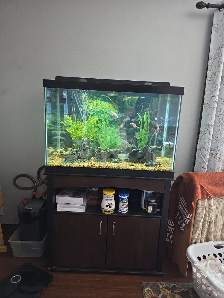 65 Gallion Tall Fish Tank And Extras
