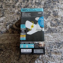 LED 5000 Lumens Light Bulb