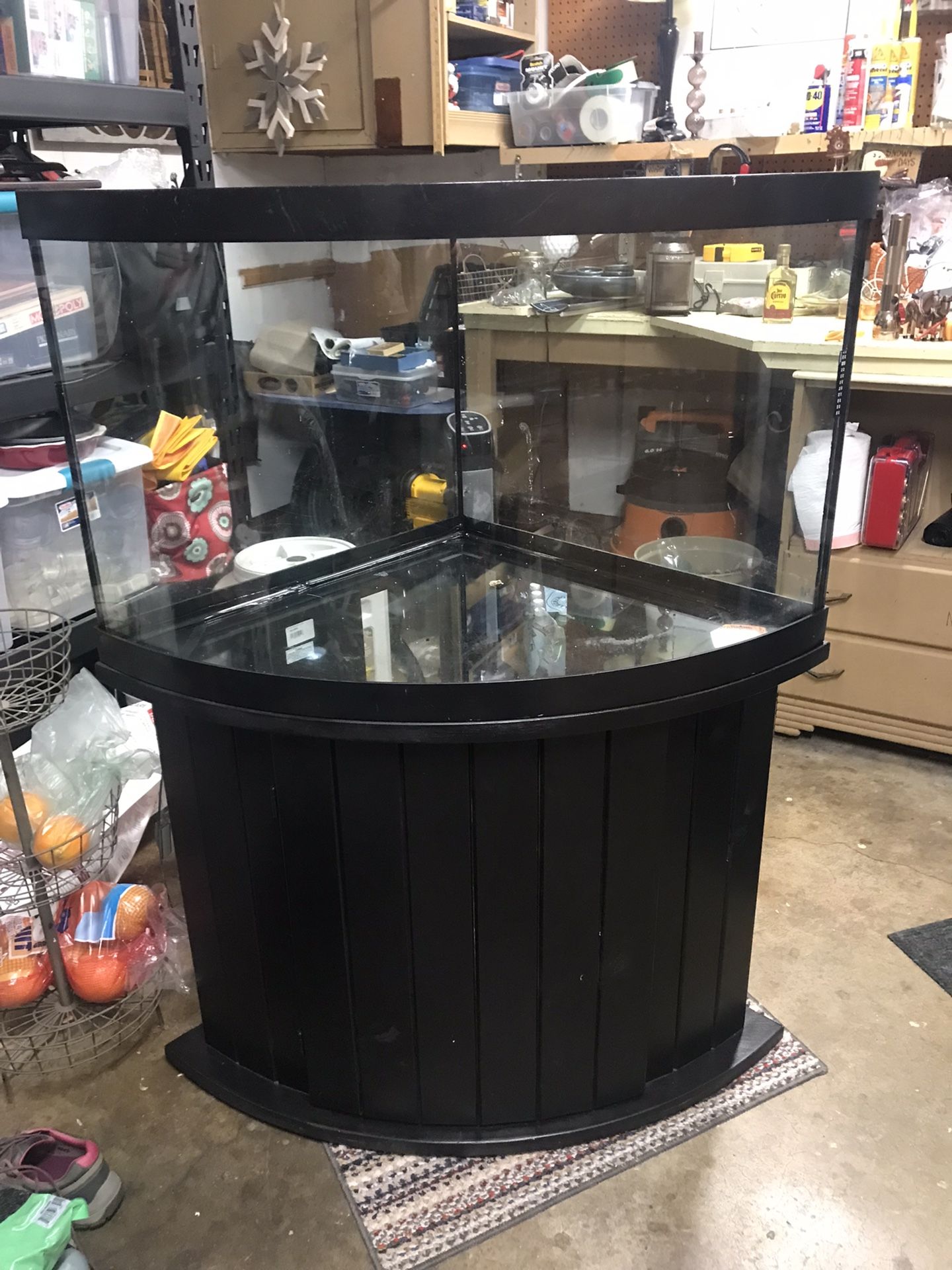 55 Gallon, Corner Aquarium - Accessories, Live Plants And Fish