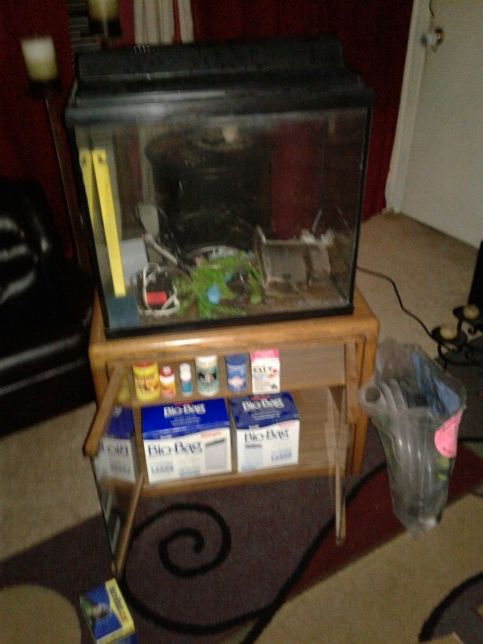 25 gallon fish tank