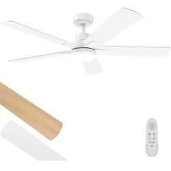 Ceiling Fan 