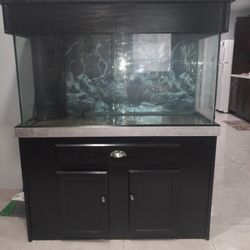 90 Gallon Fish Tank Aquarium With Standard Stand