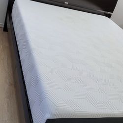 Newer Queen Platform Bed Frame with Lucid 10" Gel Memory Foam Mattres 