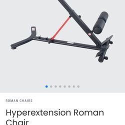 Hyperextension/Roman Chair Dip Station