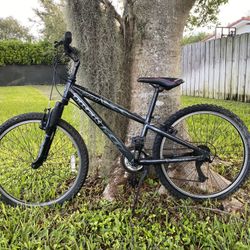 Trek Mt 220