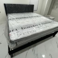 NEW BED FRAME QUEEN SIZE WITH MATTRESS AND BOX SPRING 
