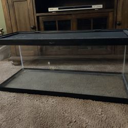 Large Fish/Reptile Tank