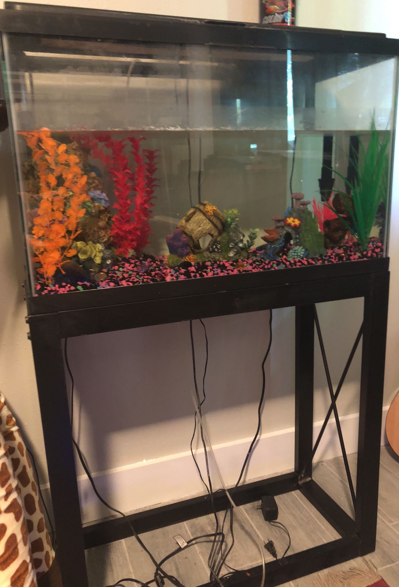 40 gallon empty fish tank with stand