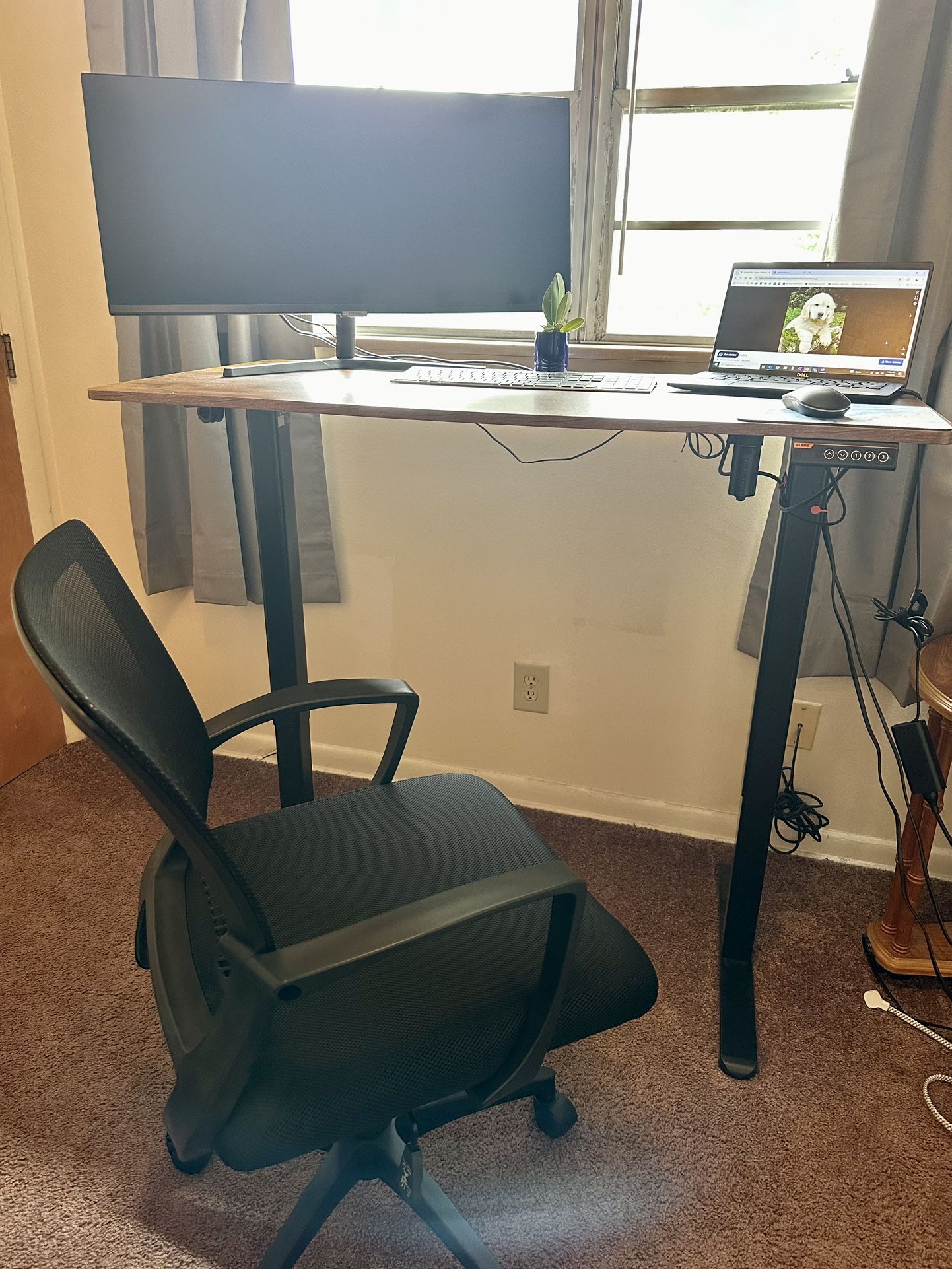 Desk Chair & Electric Standing Desk, Adjustable Height Stand up Desk, 48x24 Inches