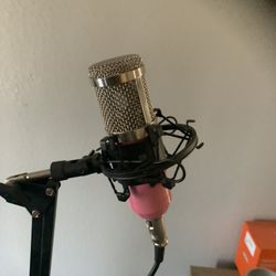 Mic And Stand