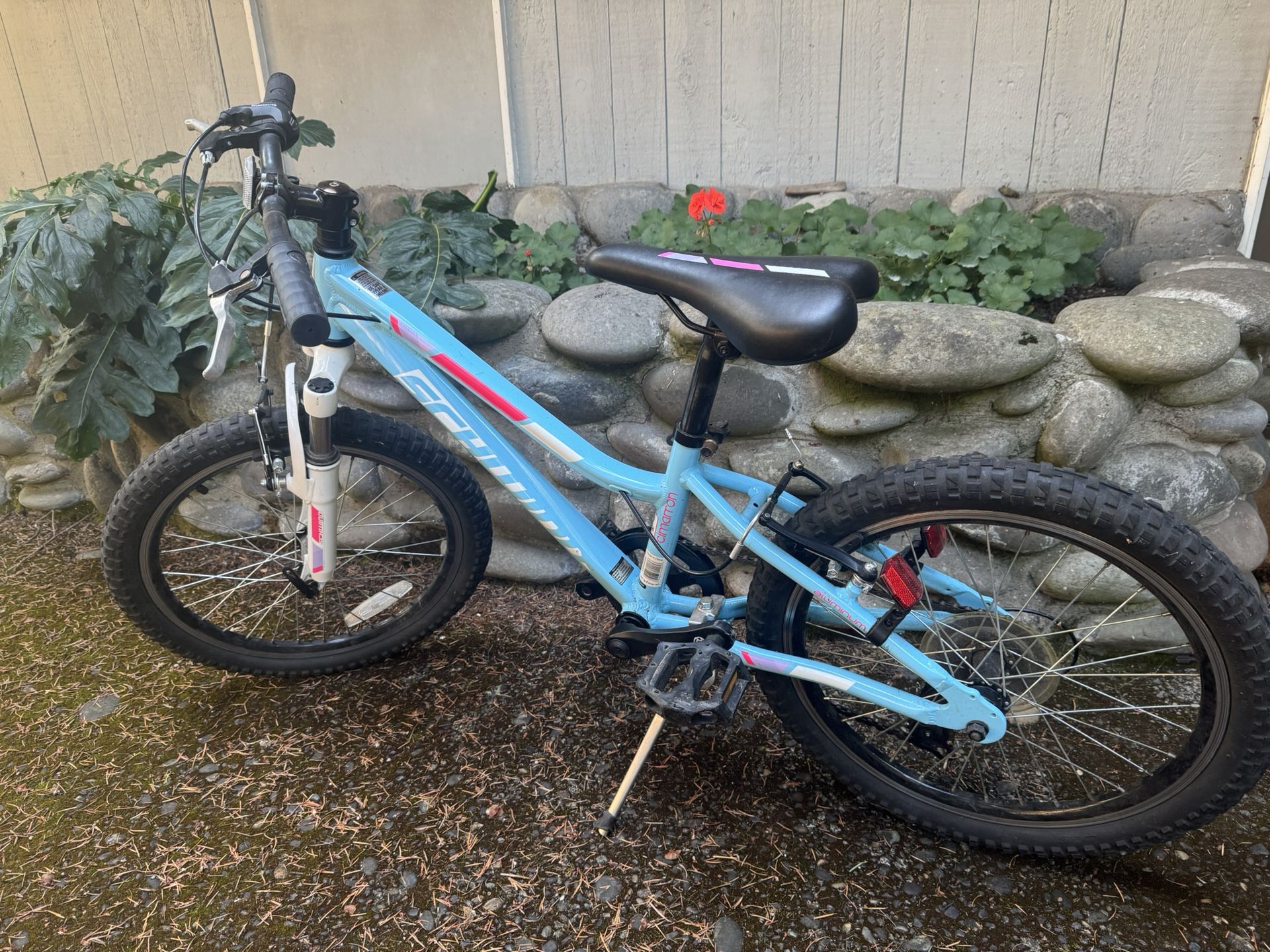 Schwinn Girls Mountain Bike