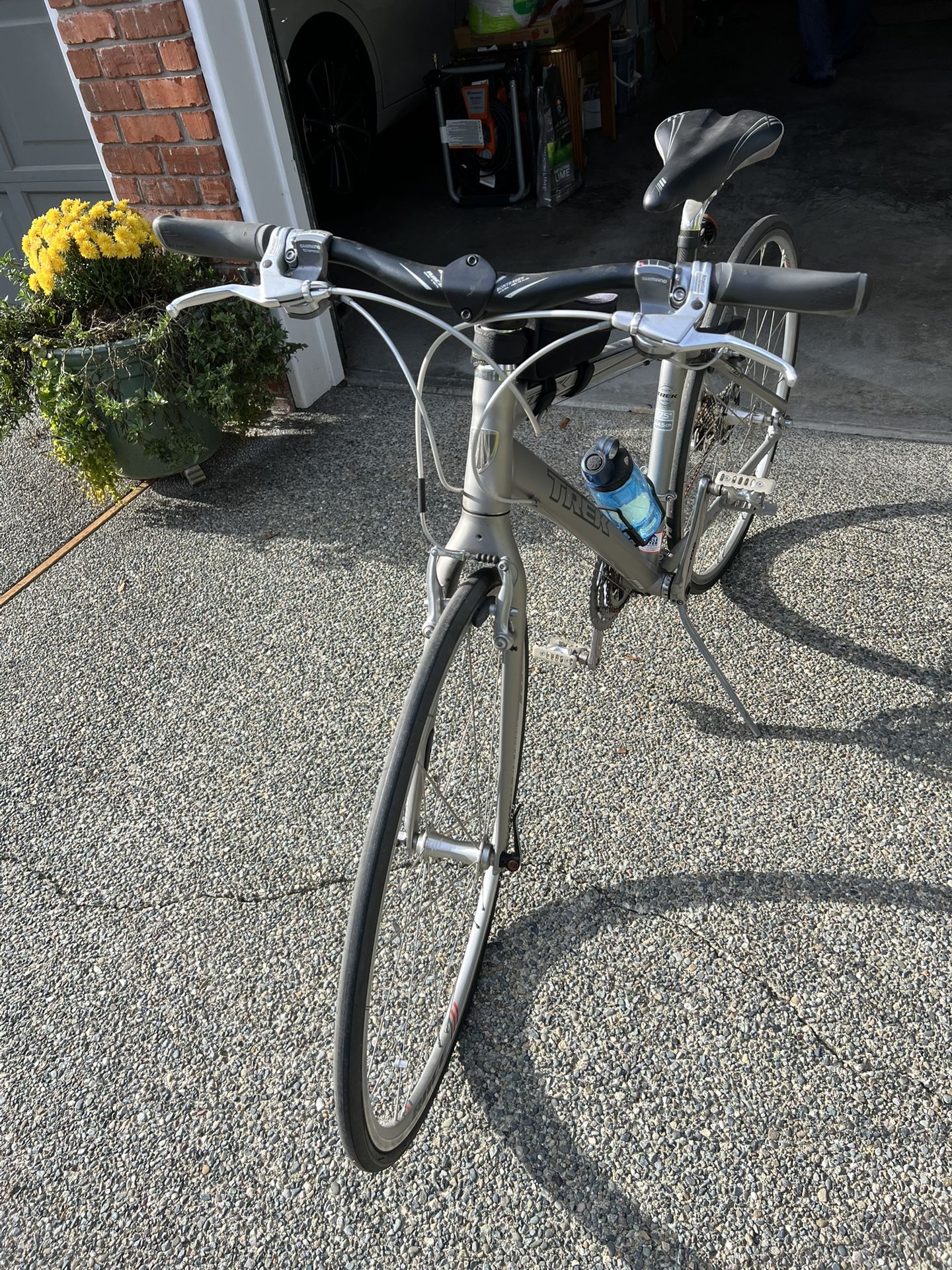 TREX Timbuk adult bike