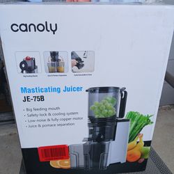 Masticating juicer