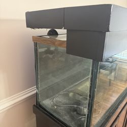 125 Gallon Fish Tank