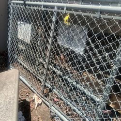 Fence Door 