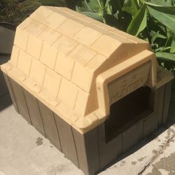Dog Or Cat House 