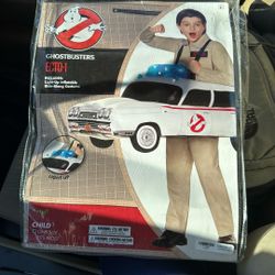 Ghost Busters Ecto-1 Costume