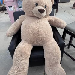 Teddy For Valentine Day 