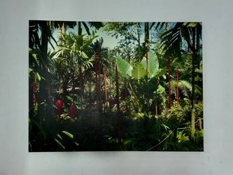 Large Art print red Reeds by Dale Chihuly