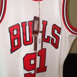 Dennis Rodman Jersey 