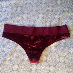 Pink Victoria’s Secret  Velvet Undershirt (Never Worn)