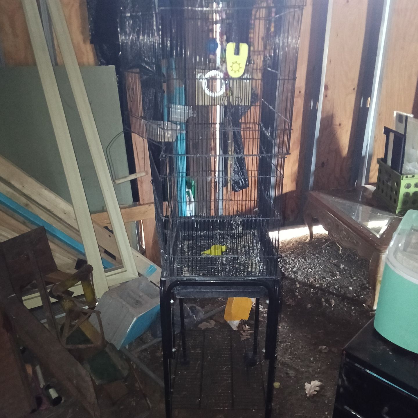 Bird cage