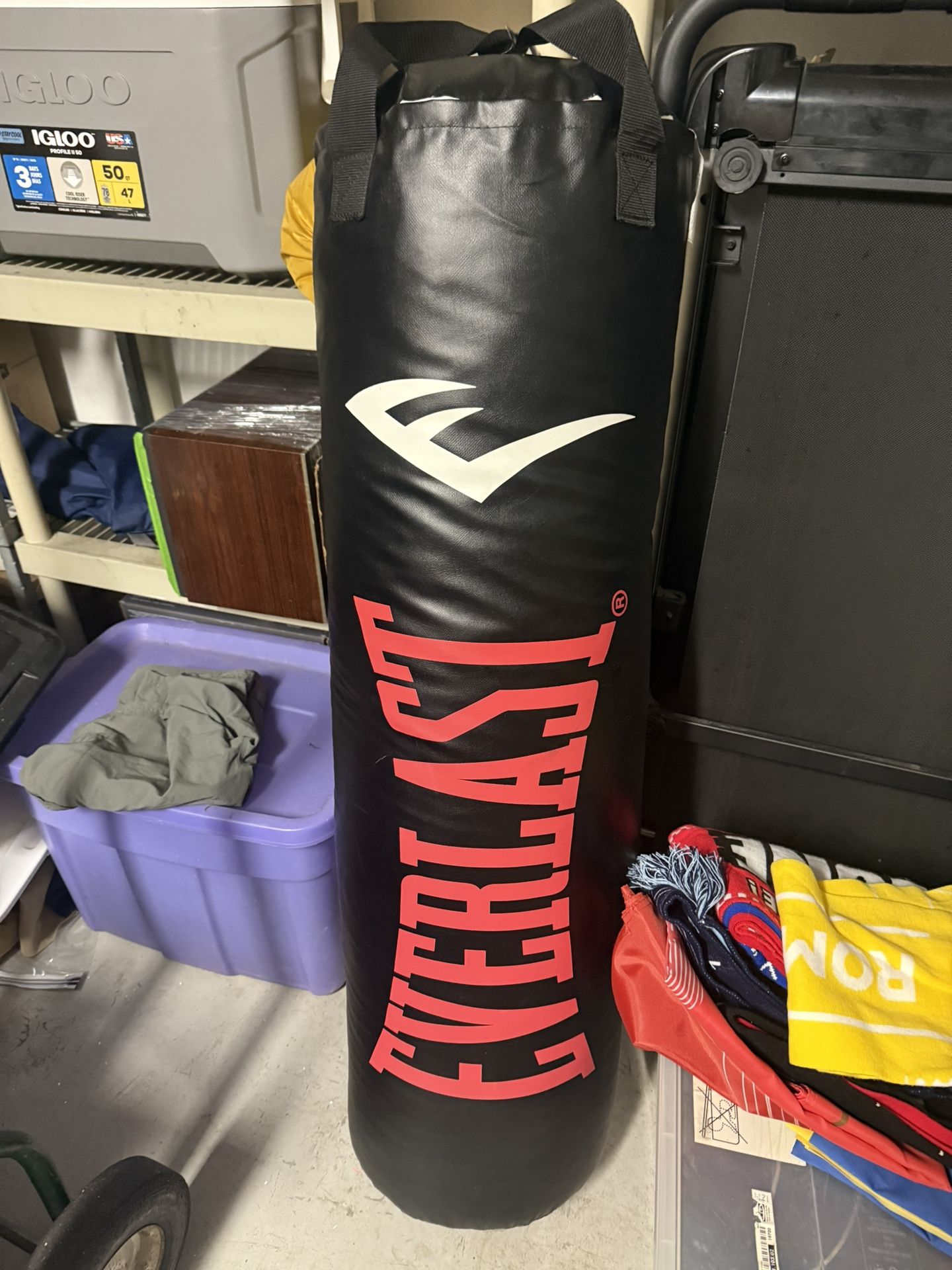Everlast Heavy Bag (Boxing) 100lbs