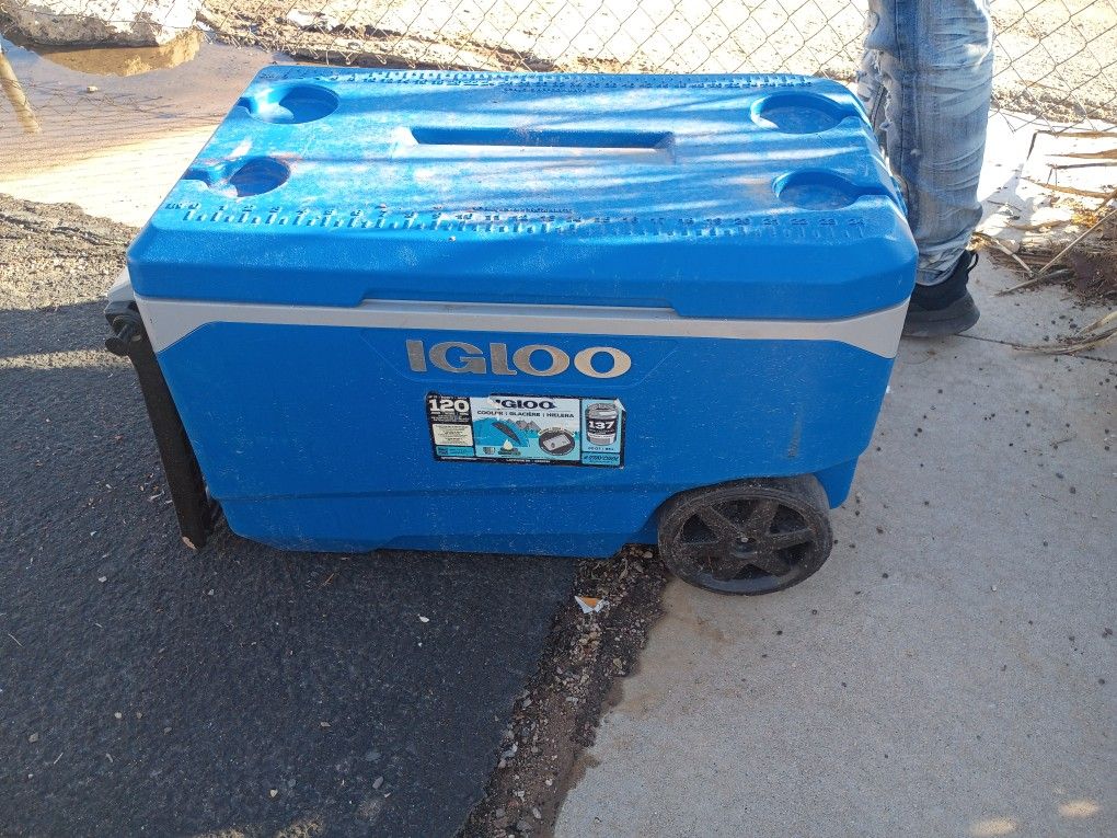 Igloo Cooelr