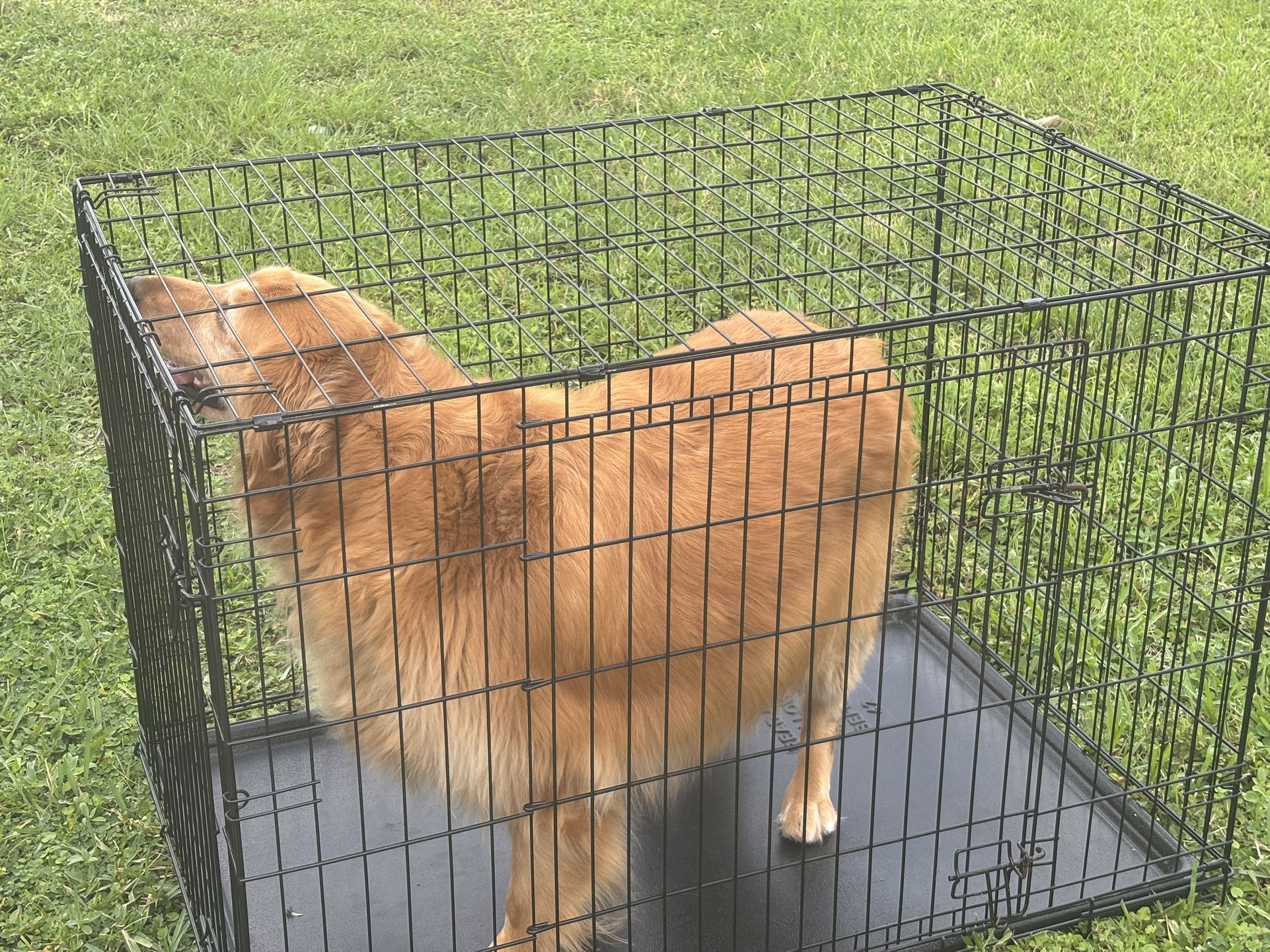 Crate For Large Dogs 
