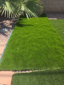 Nicest Newest Turf 16×3