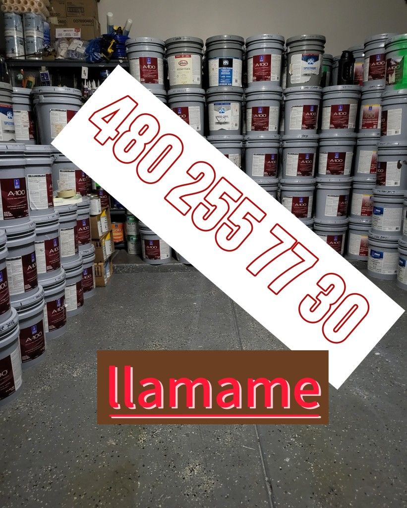 Paint Interior And Exterior 