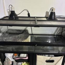 Snake Tank Set Up