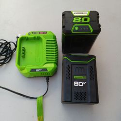 2 Batteries Greenwork Pro And Charger
