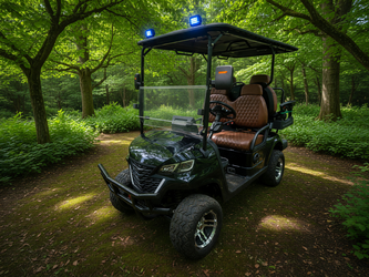 2025 SDLGC 80 Golf Cart in like new condition