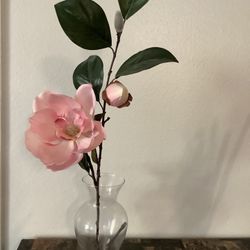Beautiful Pink  Flower