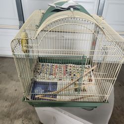 Bird Cage 