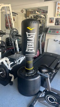 Everlasting punching bag for sale